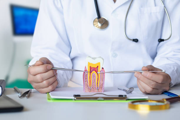 Best Emergency Tooth Extraction  in Fairbury, NE